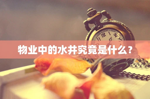 物业中的水井究竟是什么？