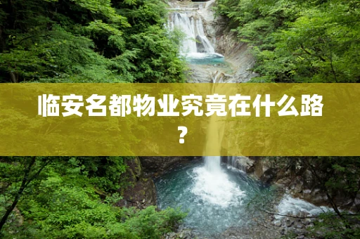 临安名都物业究竟在什么路？