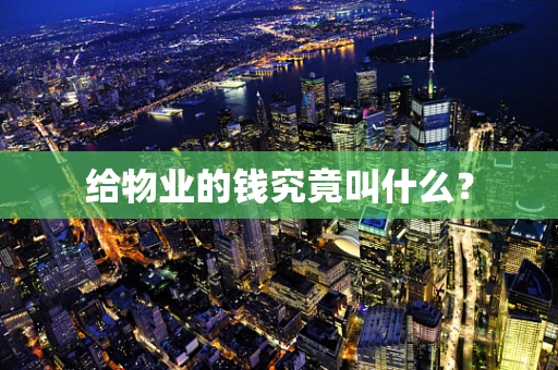 给物业的钱究竟叫什么？
