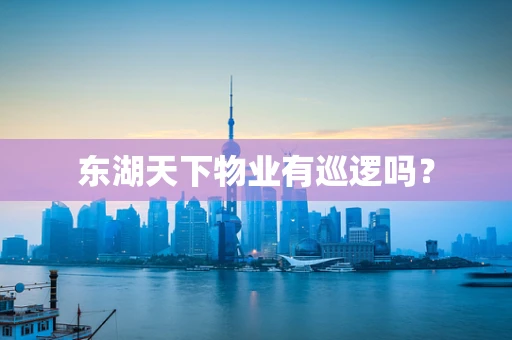 东湖天下物业有巡逻吗？