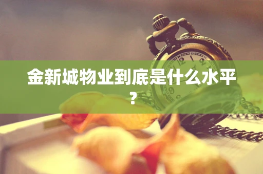 金新城物业到底是什么水平？