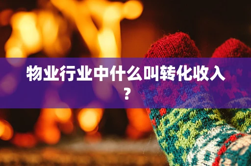 物业行业中什么叫转化收入？