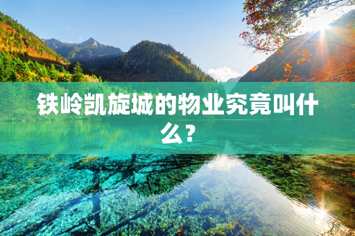 铁岭凯旋城的物业究竟叫什么？