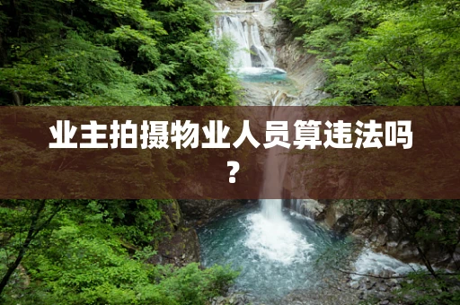 业主拍摄物业人员算违法吗？