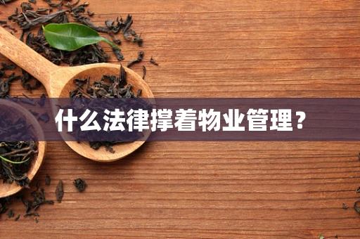 什么法律撑着物业管理？