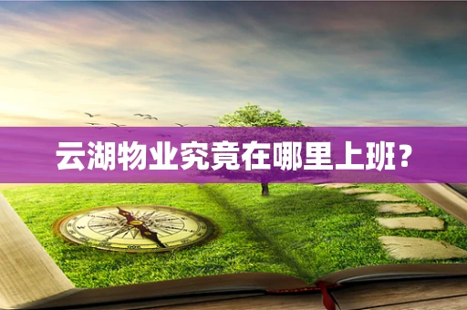 云湖物业究竟在哪里上班？