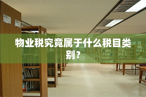 物业税究竟属于什么税目类别？