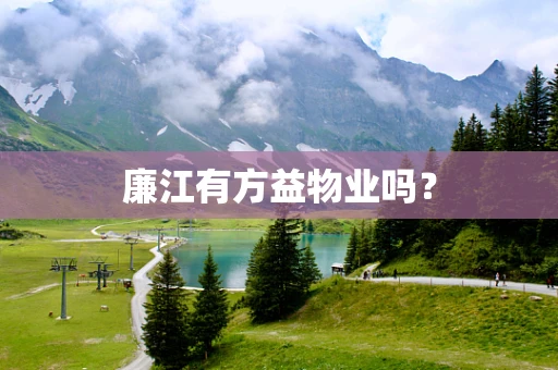 廉江有方益物业吗？