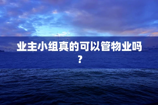 业主小组真的可以管物业吗？