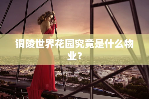 铜陵世界花园究竟是什么物业？