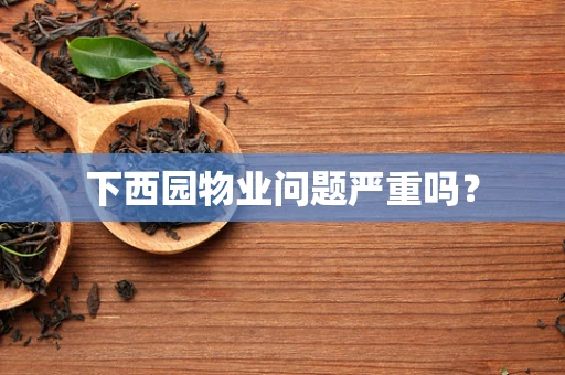 下西园物业问题严重吗？