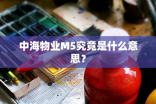 中海物业M5究竟是什么意思？