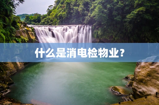 什么是消电检物业？