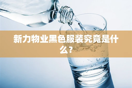 新力物业黑色服装究竟是什么？