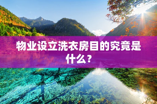 物业设立洗衣房目的究竟是什么？
