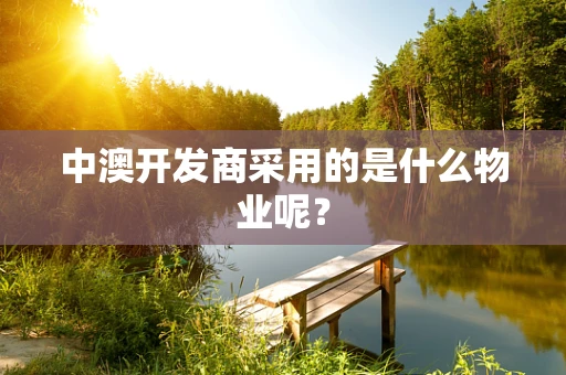 中澳开发商采用的是什么物业呢？