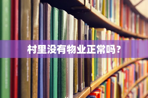 村里没有物业正常吗？