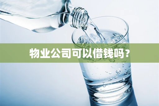 物业公司可以借钱吗？