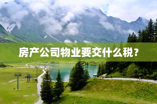 房产公司物业要交什么税？