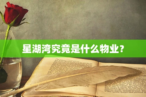 星湖湾究竟是什么物业？
