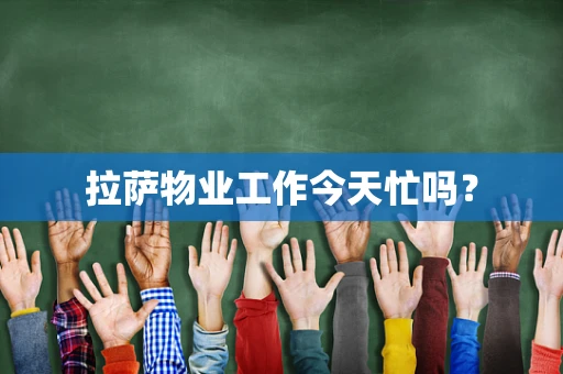 拉萨物业工作今天忙吗？