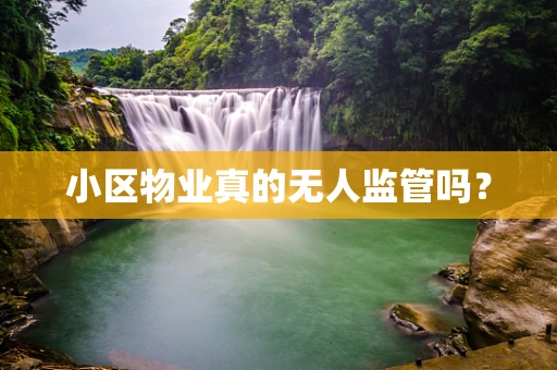 小区物业真的无人监管吗？