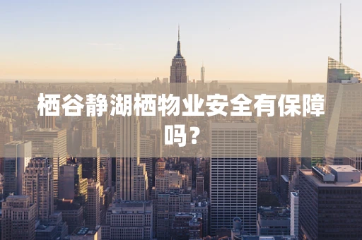 栖谷静湖栖物业安全有保障吗？