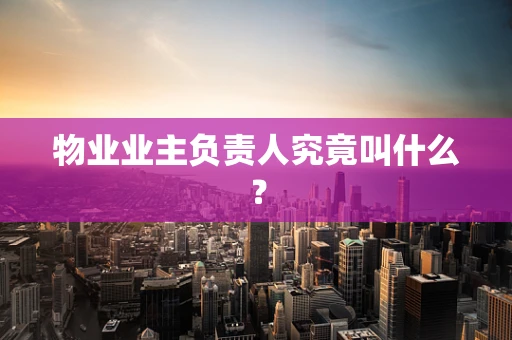 物业业主负责人究竟叫什么？