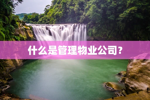 什么是管理物业公司？