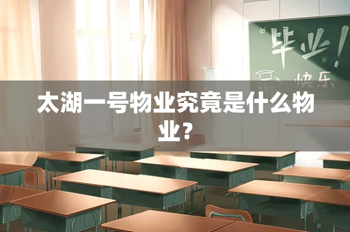 太湖一号物业究竟是什么物业？