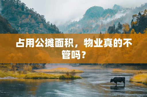 占用公摊面积，物业真的不管吗？
