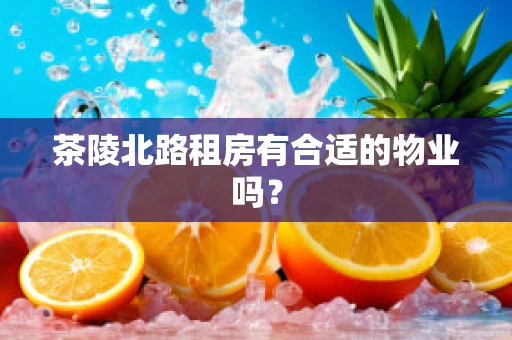 茶陵北路租房有合适的物业吗？