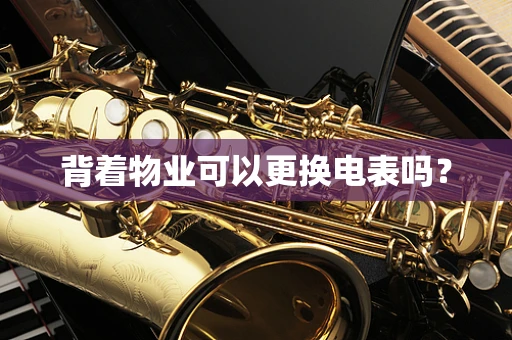 背着物业可以更换电表吗？