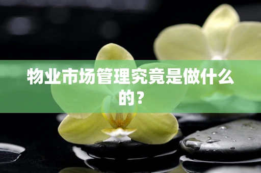 物业市场管理究竟是做什么的？
