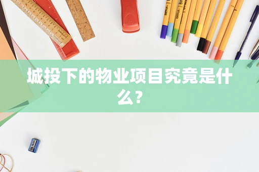 城投下的物业项目究竟是什么？