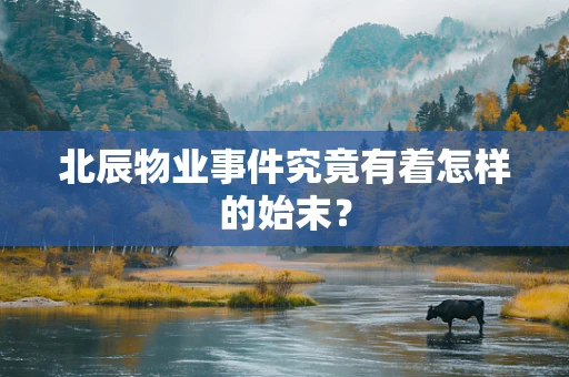 北辰物业事件究竟有着怎样的始末？