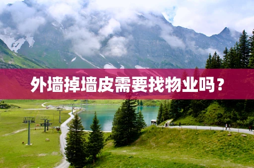 外墙掉墙皮需要找物业吗？