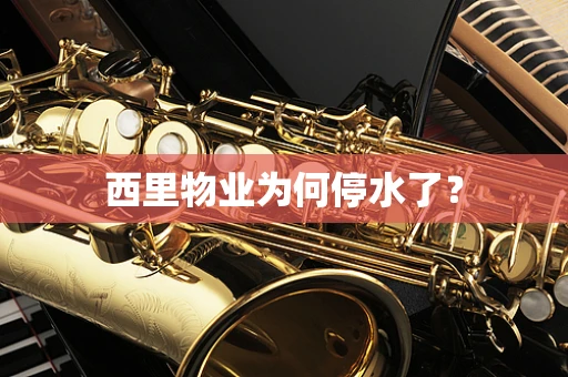 西里物业为何停水了？