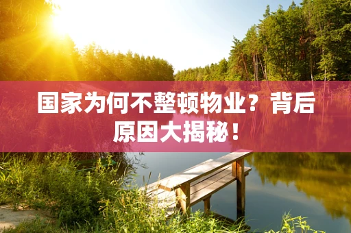 国家为何不整顿物业？背后原因大揭秘！
