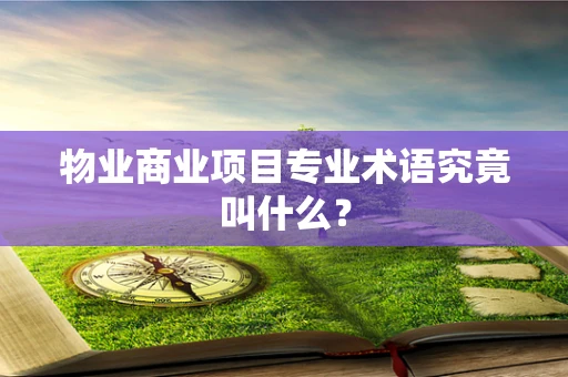 物业商业项目专业术语究竟叫什么？