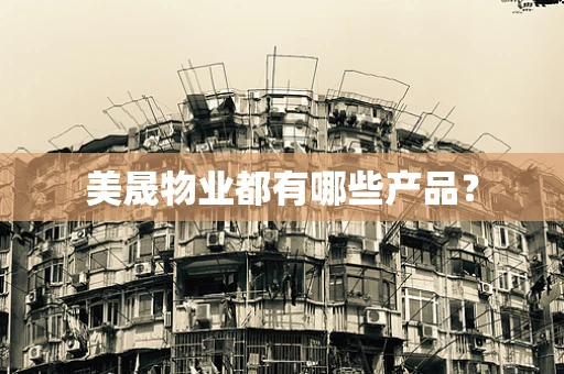 美晟物业都有哪些产品？