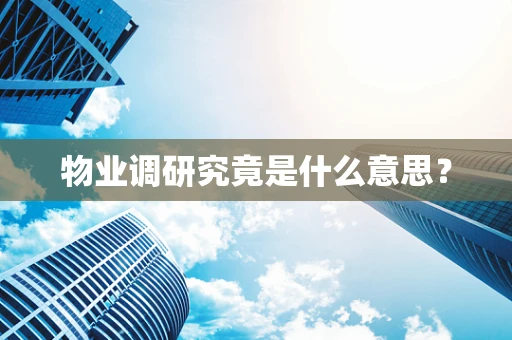 物业调研究竟是什么意思？
