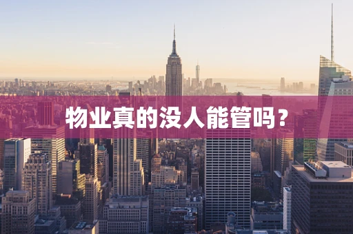 物业真的没人能管吗？