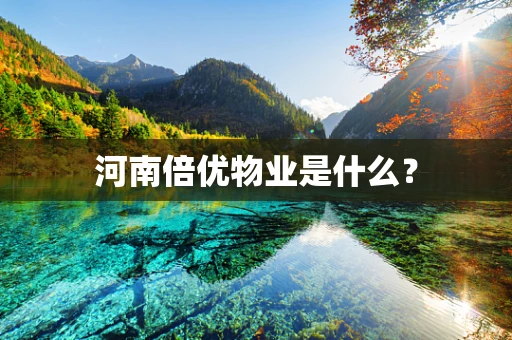河南倍优物业是什么？