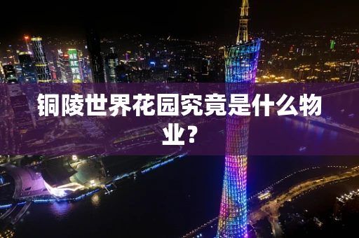 铜陵世界花园究竟是什么物业？
