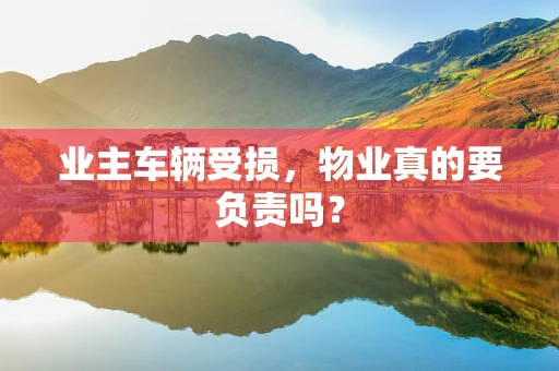 业主车辆受损，物业真的要负责吗？