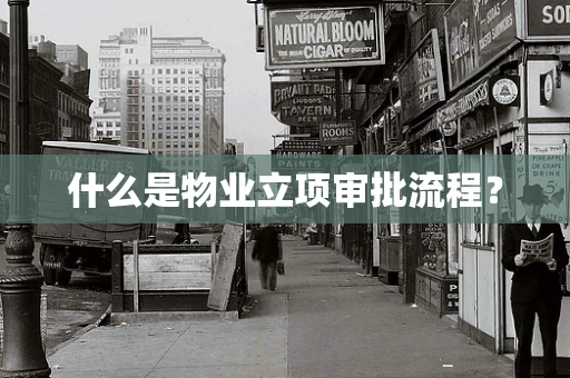 什么是物业立项审批流程？