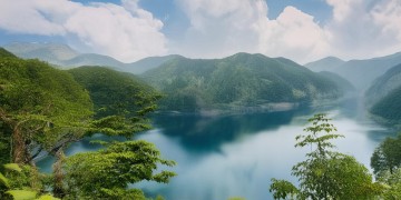 穗花新村到底有没有物业呢？