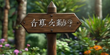 处置物业到底能不能过户？