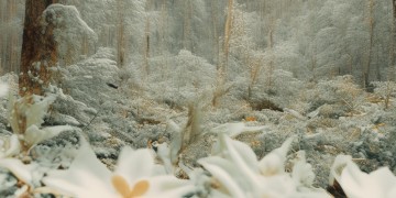 南京纺织公寓物业安全有保障吗?